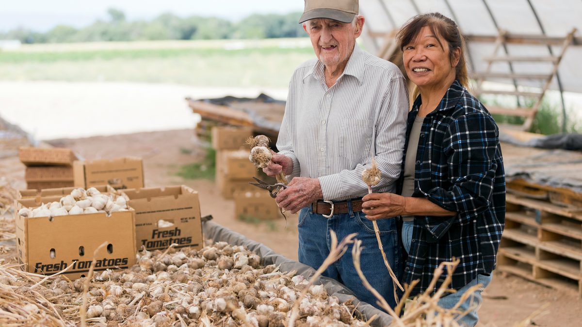 Older couple holding fresh garlic bulbs.